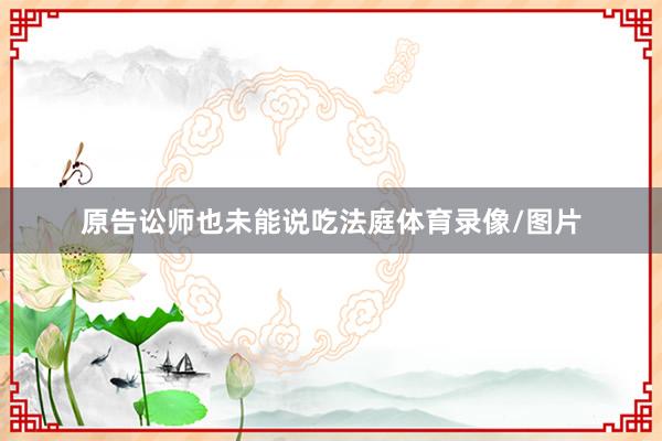 原告讼师也未能说吃法庭体育录像/图片