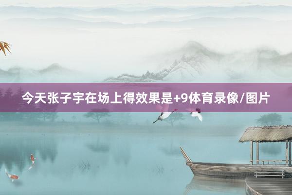 今天张子宇在场上得效果是+9体育录像/图片