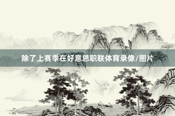 除了上赛季在好意思职联体育录像/图片