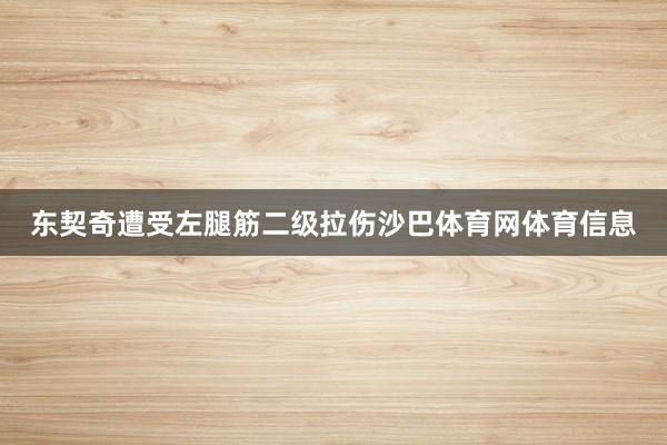 东契奇遭受左腿筋二级拉伤沙巴体育网体育信息