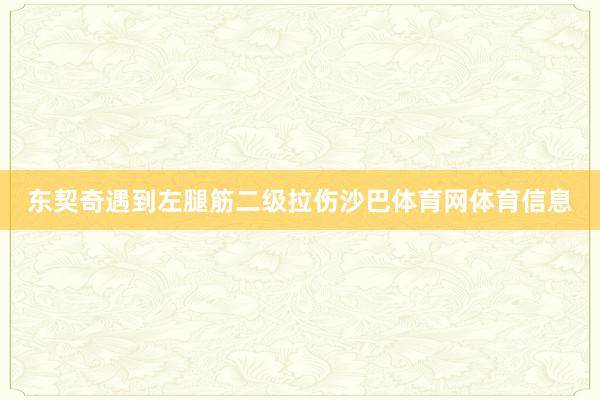 东契奇遇到左腿筋二级拉伤沙巴体育网体育信息
