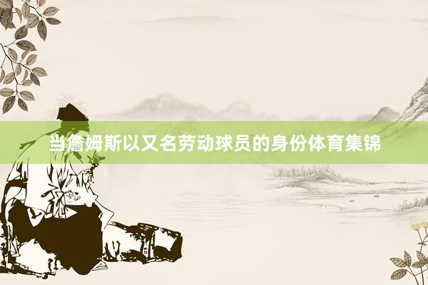 当詹姆斯以又名劳动球员的身份体育集锦