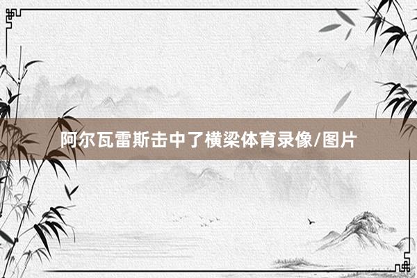阿尔瓦雷斯击中了横梁体育录像/图片