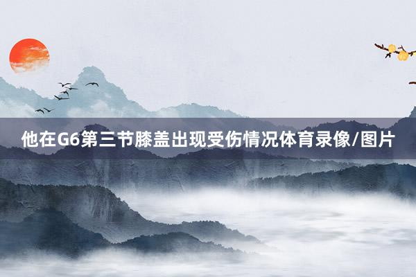 他在G6第三节膝盖出现受伤情况体育录像/图片