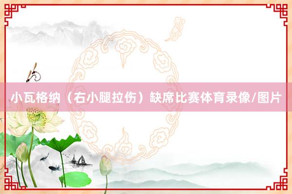 小瓦格纳（右小腿拉伤）缺席比赛体育录像/图片