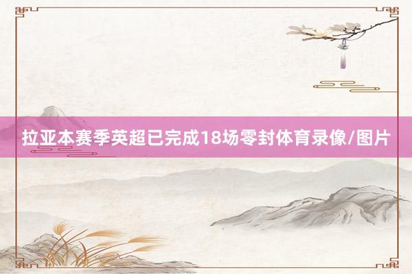 拉亚本赛季英超已完成18场零封体育录像/图片