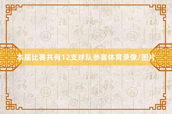 本届比赛共有12支球队参赛体育录像/图片