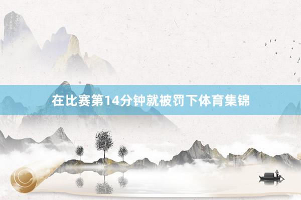 在比赛第14分钟就被罚下体育集锦
