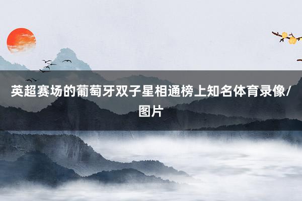 英超赛场的葡萄牙双子星相通榜上知名体育录像/图片